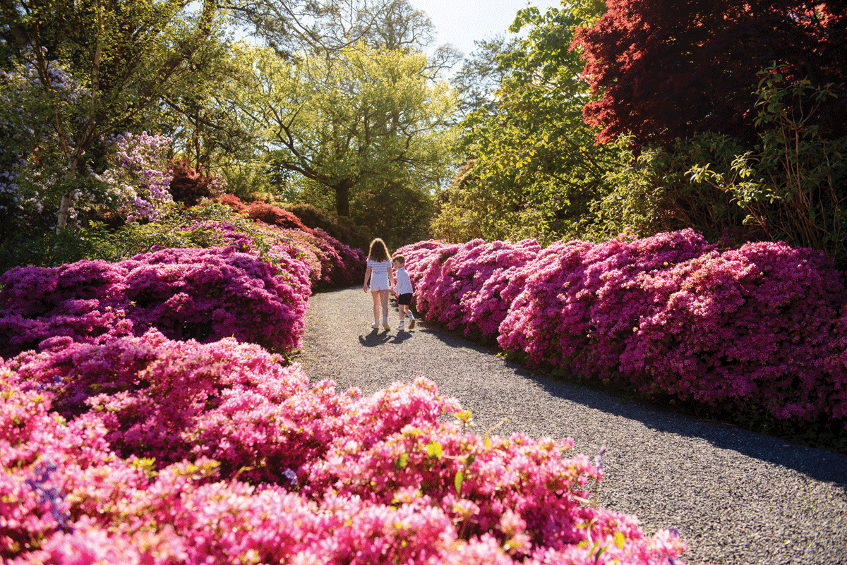 Image: Children walking through Mount Congreve Gardens in the Summer, image courtesy of Failte Ireland